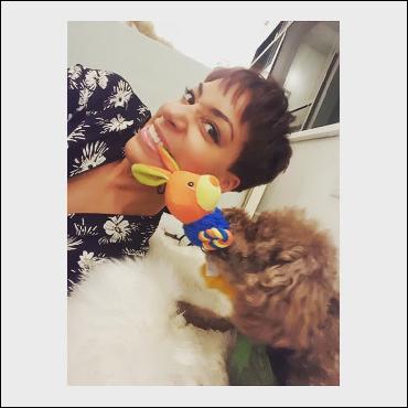 cush-jumbo028 (750x750, 65 kБ...)