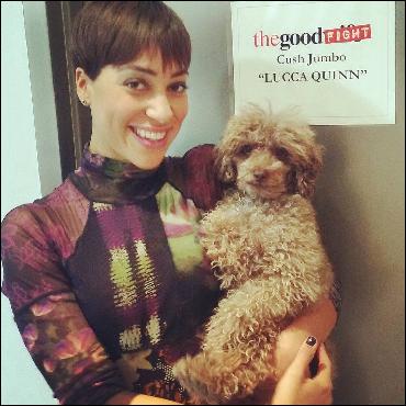 cush-jumbo065 (1080x1080, 200 kБ...)