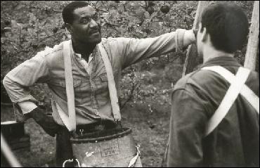 delroy-lindo055 (550x354, 54 kБ...)